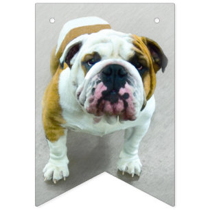 Bannière À Fanions Bulldog Painting - Joli art original chien