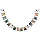 Graduation 12 Photos Classe Année Félicats Nom