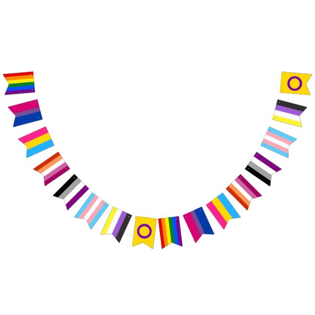 Bannière À Fanions LGBTQ+ Bunting (Tout)