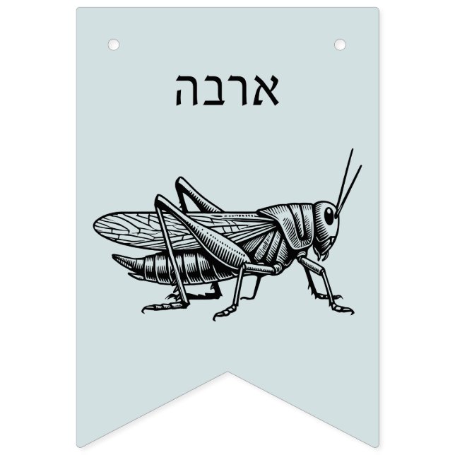 Bannière À Fanions Pesach Plagues pour Seder (Onzième drapeau)