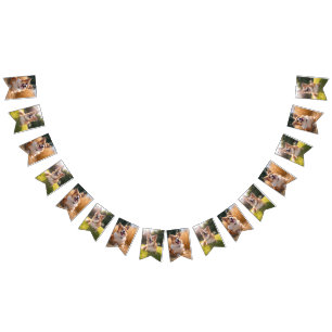 Bannière À Fanions Photo personnalisée pour animaux