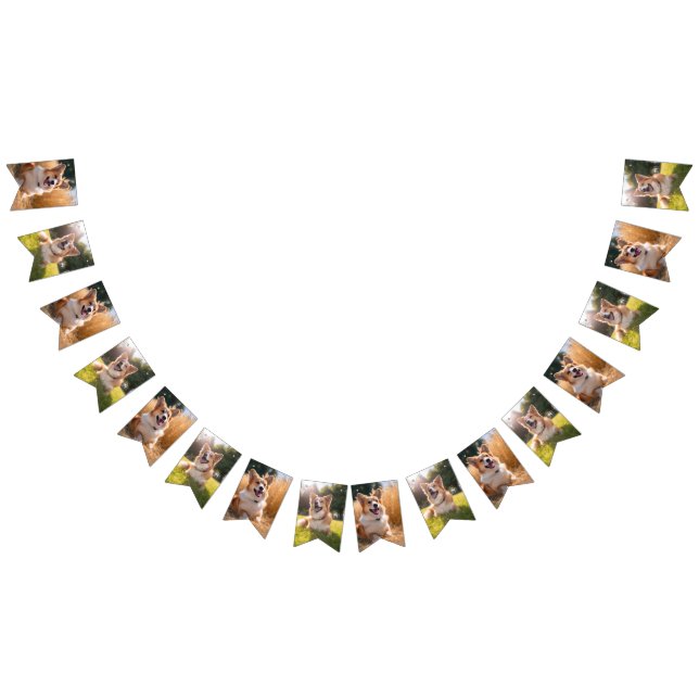 Bannière À Fanions Photo personnalisée pour animaux (Tout)