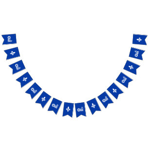 BANNIÈRE À FANIONS QUEBEC OUI