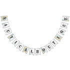 URL du site ⚓ graphique nautique