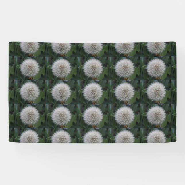 Bannière de fleurs de pandelion (Horizontal)