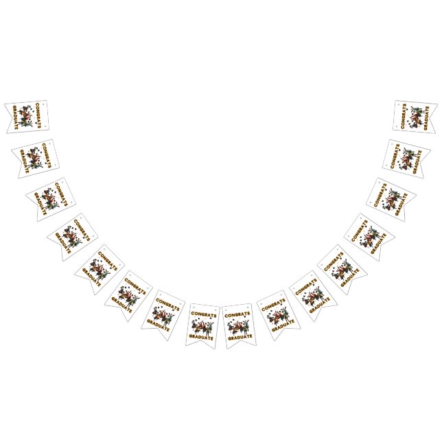 Bannière de guirlande Félicitations Diplômé (Tout)