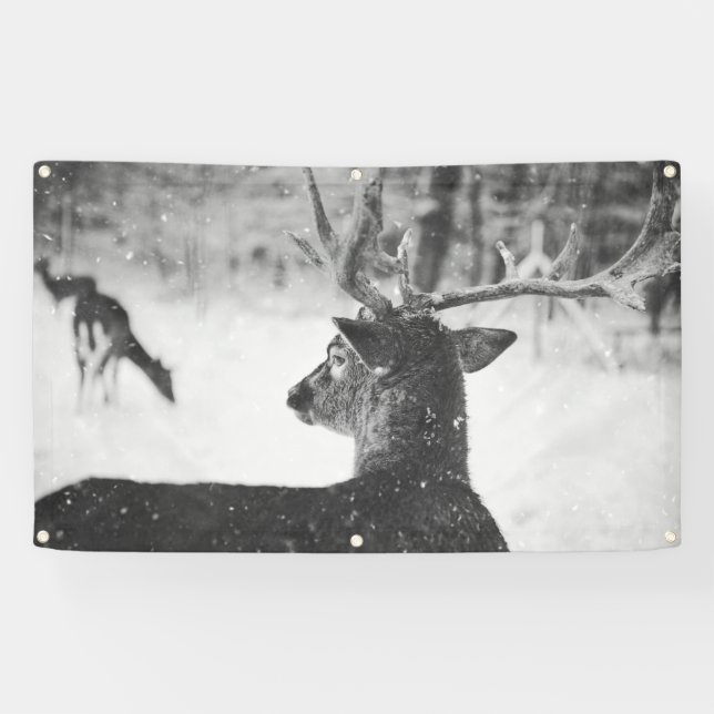 Bannière DE NEIGE AVEC GROMMETS (Horizontal)