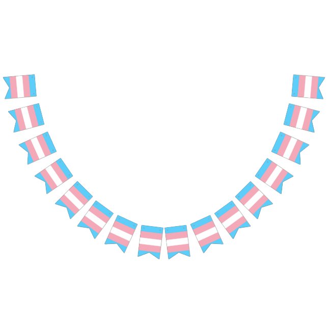 Bannière drapeau de la fierté transgenre (Tout)