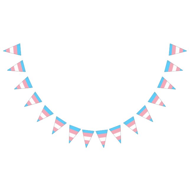 Bannière drapeau de la fierté transgenre (Tout)