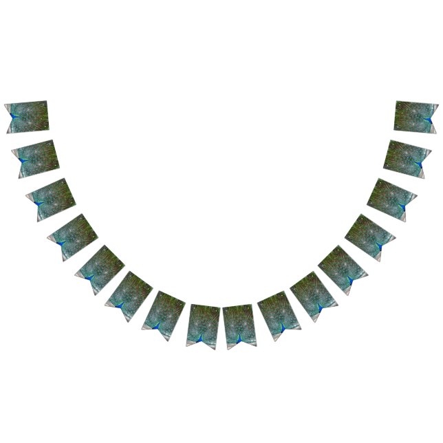 Bannière du Peacock Design Party (Tout)
