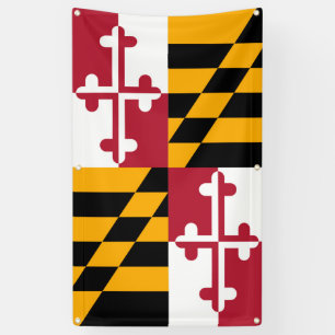 Bannière élégante de décor de drapeau d'état 