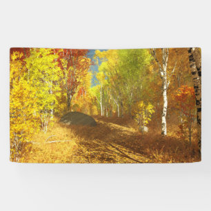 Bannière lumineuse en chute