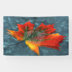 Bannière Retroreflection