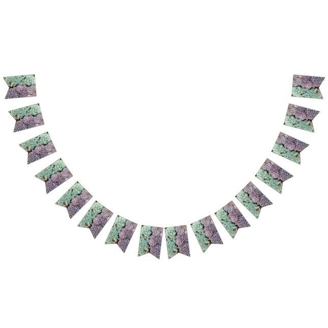 Bannière succulente (Tout)