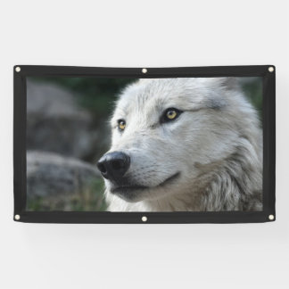 Bannière WOLF