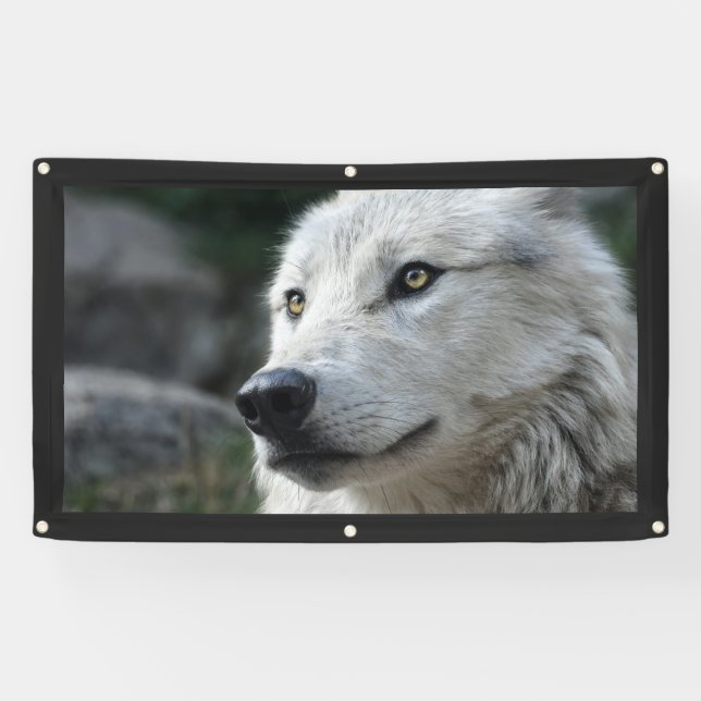 Bannière WOLF (Horizontal)