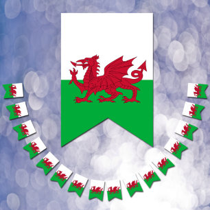 Bannières du Wales Party, Drapeau gallois / Mariag