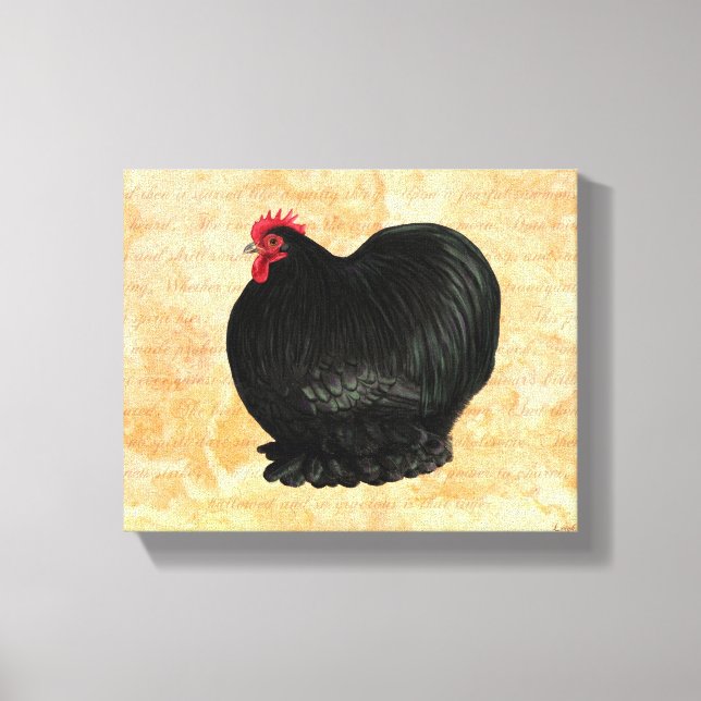 Bantam Cochin Rooster Canvas Print (Front)