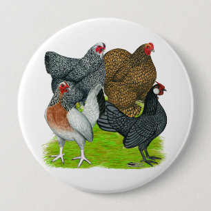 Bantam Hen Quartet 4 Inch Round Button