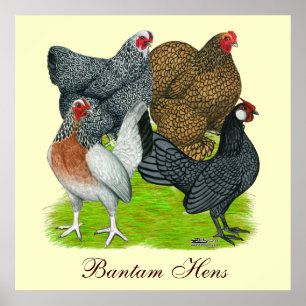 Bantam Hen Quartet, Bantam Hens Poster