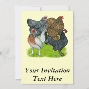 Bantam Hen Quartet Invitation