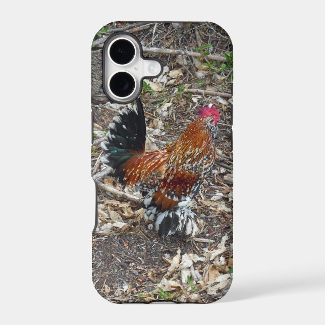 Bantam Rooster (Back)