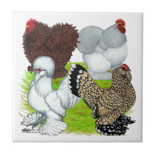 Bantams Feather Legged Tile