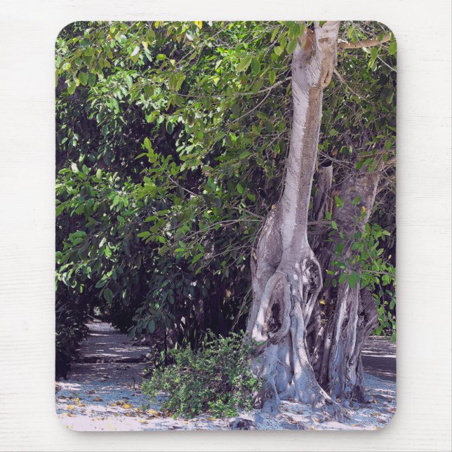 Banyan Street Mousepad (Front)