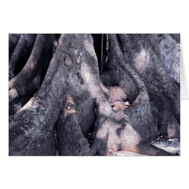 Banyan Tree (Devant horizontal)
