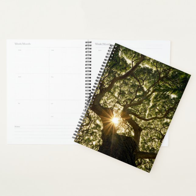 Banyan Tree Canopy Sunstar Planner (Display)