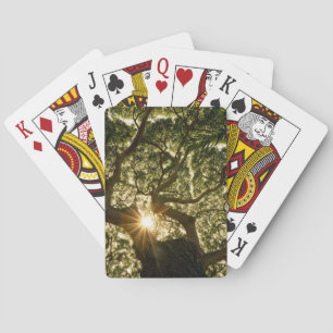 Banyan Tree Canopy Sunstar Playing Cards