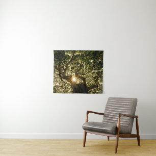 Banyan Tree Canopy Sunstar Tapestry