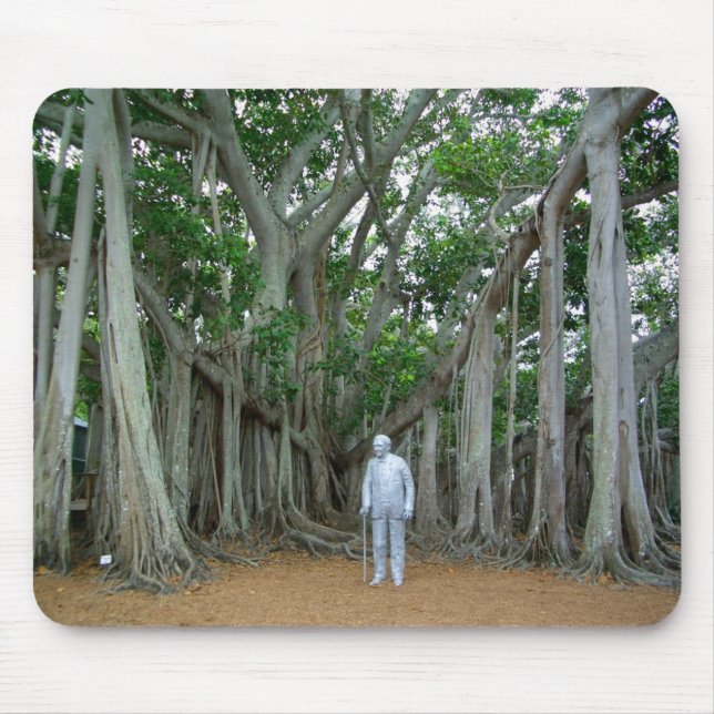 Banyan Tree Edison & Ford Estate Ft Myers Florida Mouse Pad (Front)
