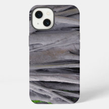 Banyan Tree Trunk