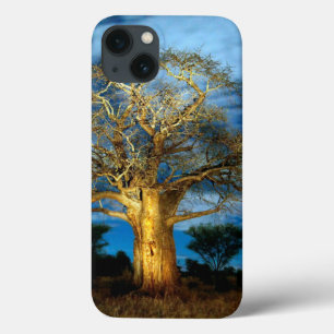 Baobab (Adansonia) Tree Light Up By The Moon iPhone 13 Case