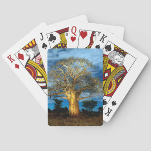 Baobab (Adansonia) Tree Light Up By The Moon Playing Cards