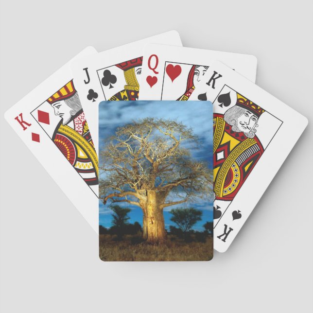 Baobab (Adansonia) Tree Light Up By The Moon Playing Cards (Back)