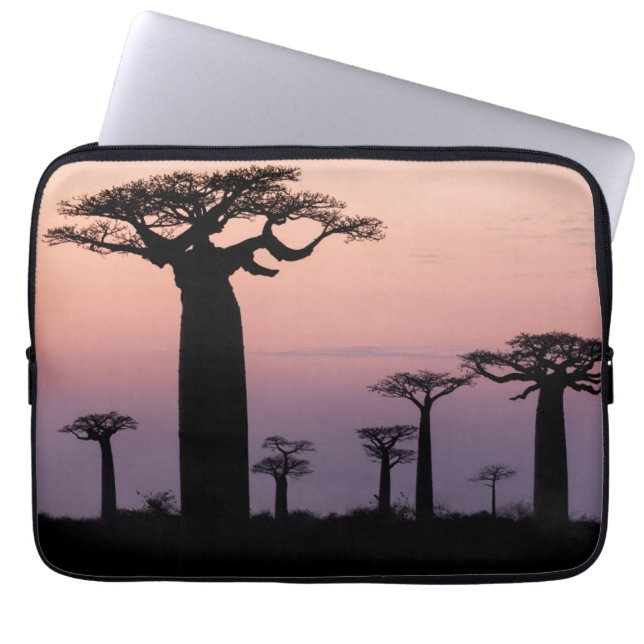 Baobab Alley', Madagascar, Morondava, Africa, Laptop Sleeve (Front)