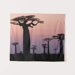Baobab Alley', Madagascar, Morondava, Africa, Tapestry
