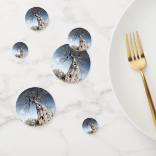 Baobab Tree at Mana Pools National Park Photo Confetti