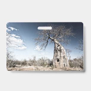 Baobab Tree at Mana Pools National Park, Zimbabwe. Badge