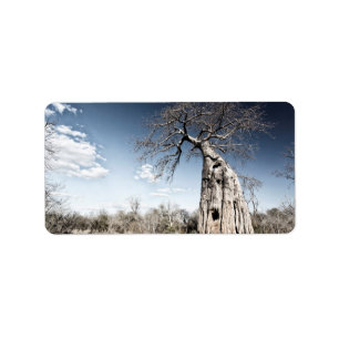 Baobab Tree at Mana Pools National Park, Zimbabwe Label