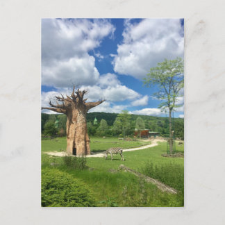 Baobab Tree Branch Personalize Destiny Destiny'S Postcard