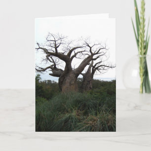 Baobab Tree Greeting Card