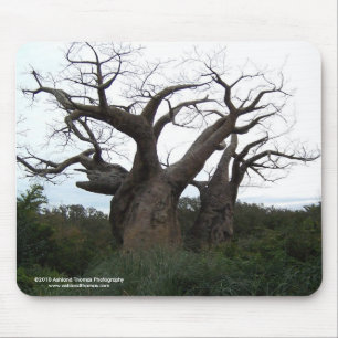 Baobab Tree Mousepad