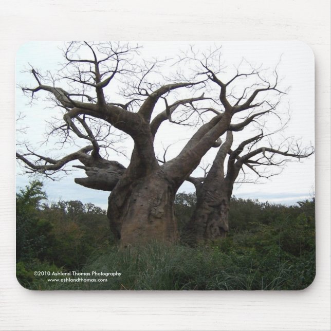 Baobab Tree Mousepad (Front)