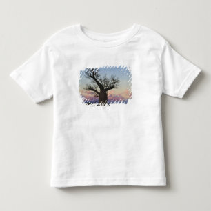 Baobab trees, Berenty, Toliara, Madagascar Toddler T-shirt