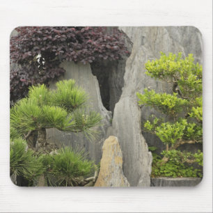 Bao's family garden, Huangshan, China. 2 Mouse Pad