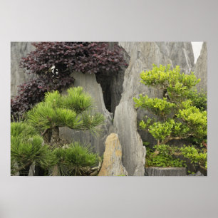 Bao's family garden, Huangshan, China. 2 Poster