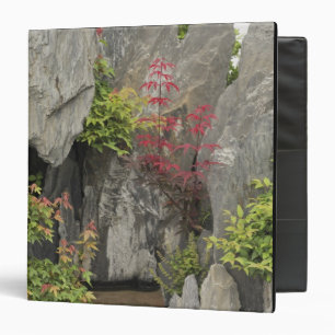 Bao's family garden, Huangshan, China. Binder